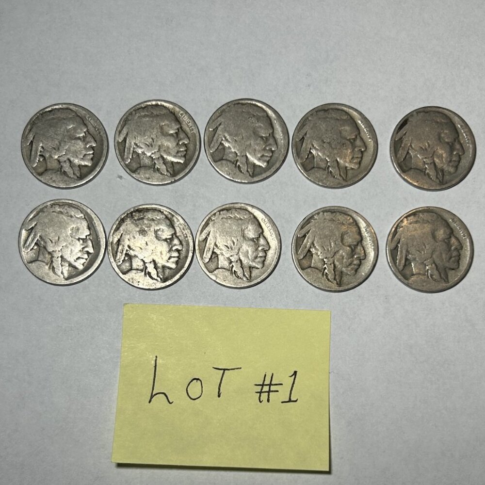 10 Buffalo/Indian Head undated Nickels